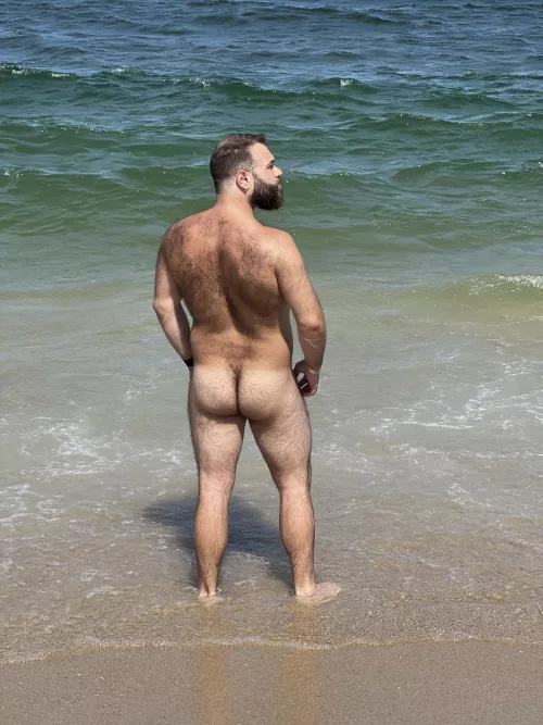 Beach bear.