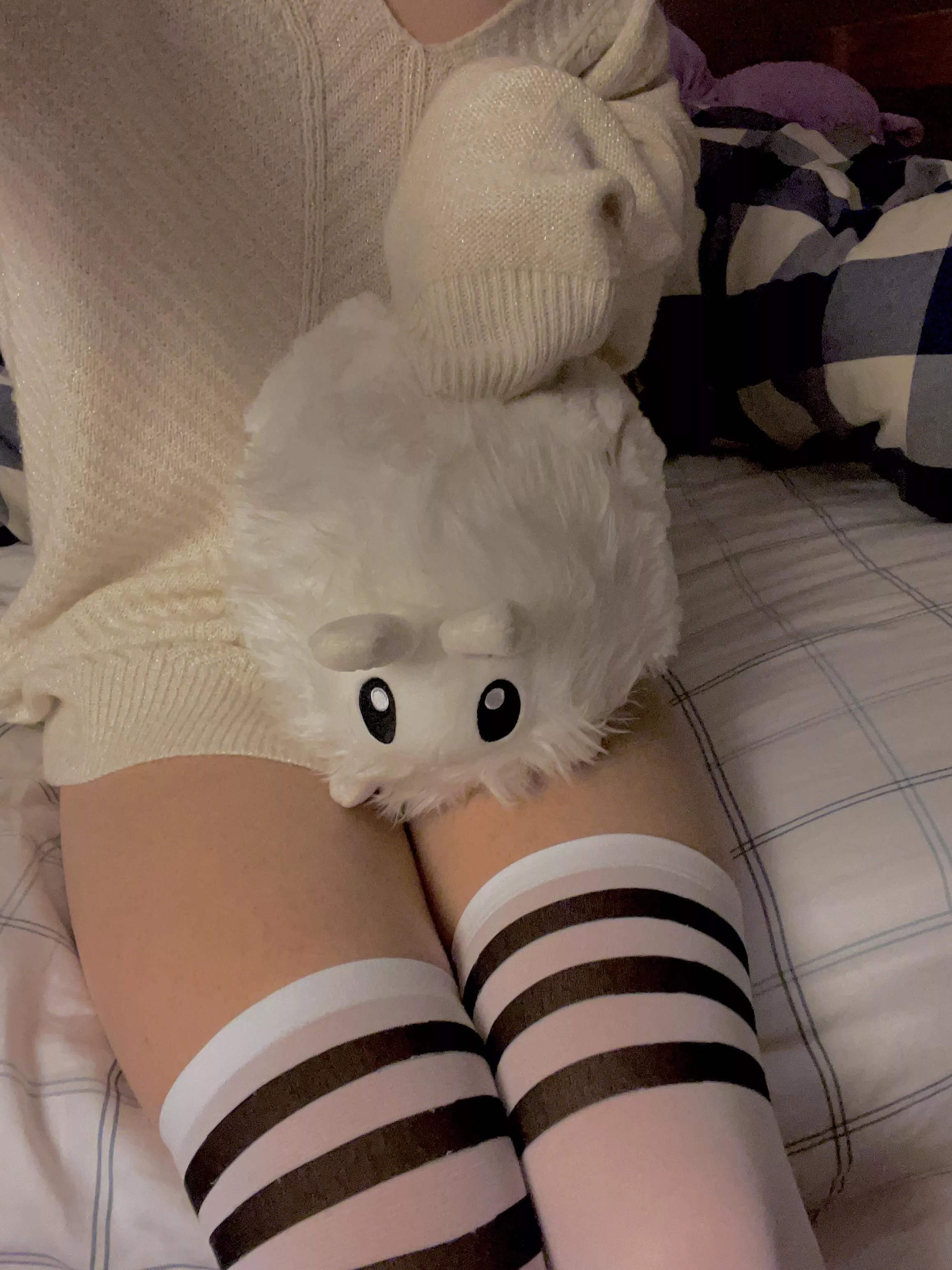 Me & Mr. Moth (≧∀≦)