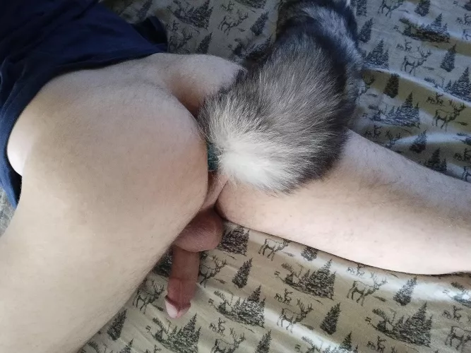 Absolutely in love with my new tail~