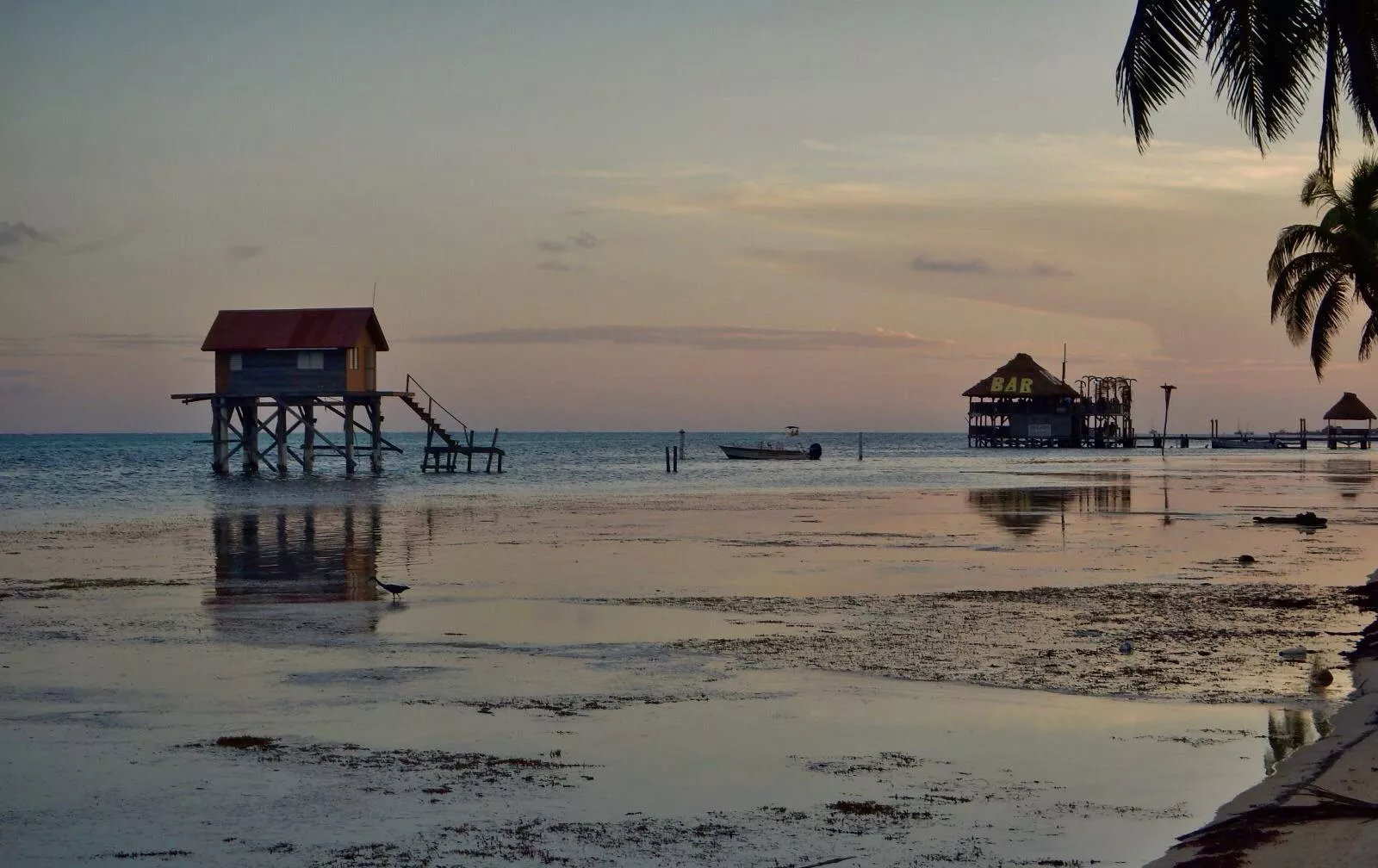 San Pedro Belize. Bring it haters.