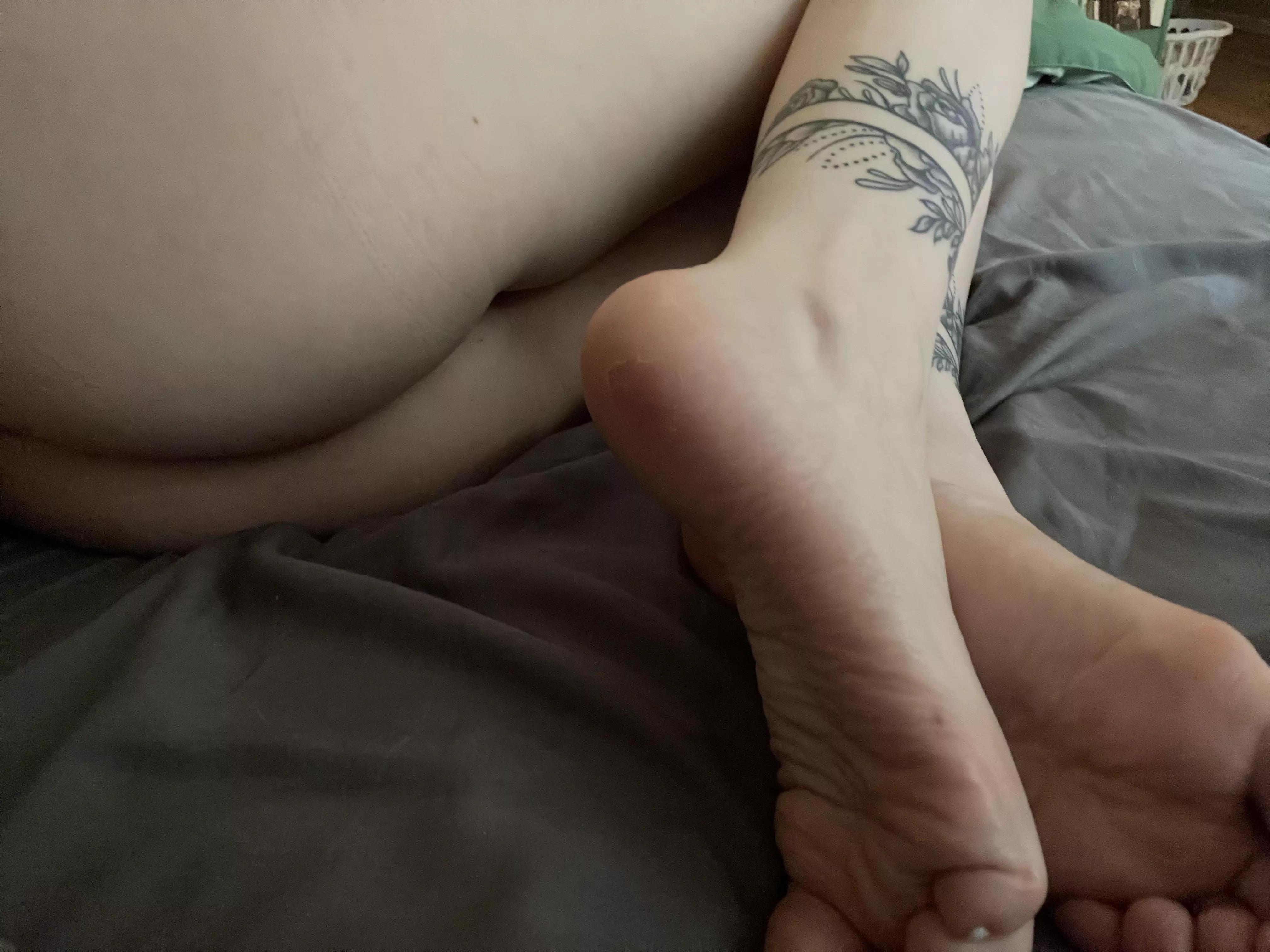 Your view in the morning