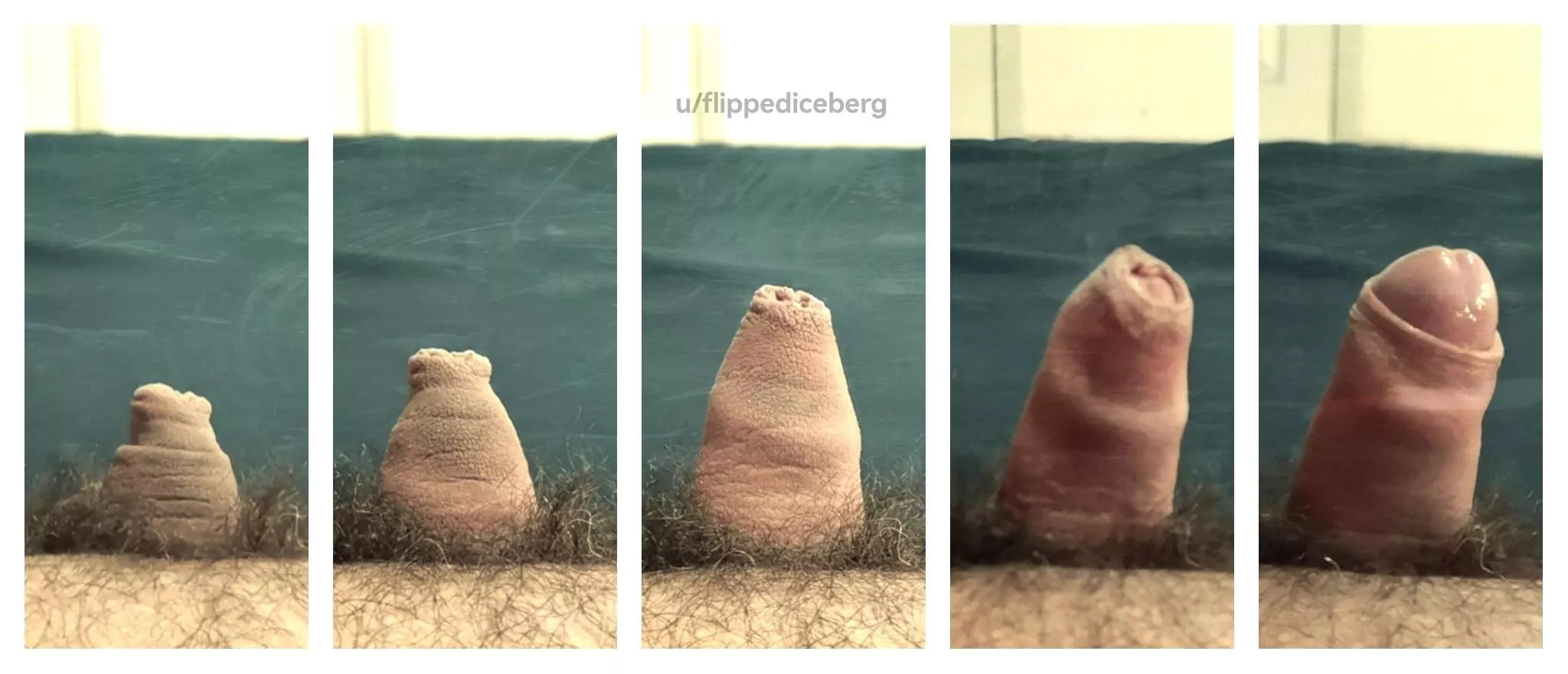 Does it count as a grower if it only goes from small to slightly less small even tough it more than doubles in size? 😅