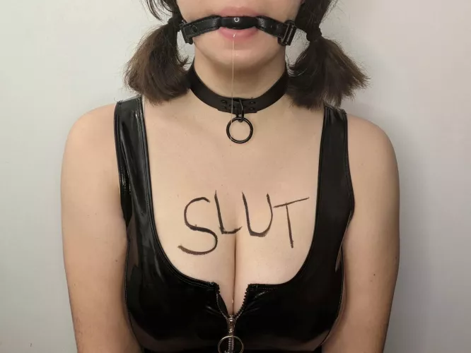 now i just need an owner to come play with me