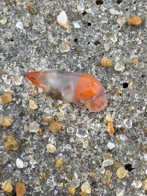 What the hell is that?