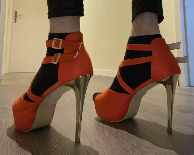 Getting more and more used to walk in my lovely new pair