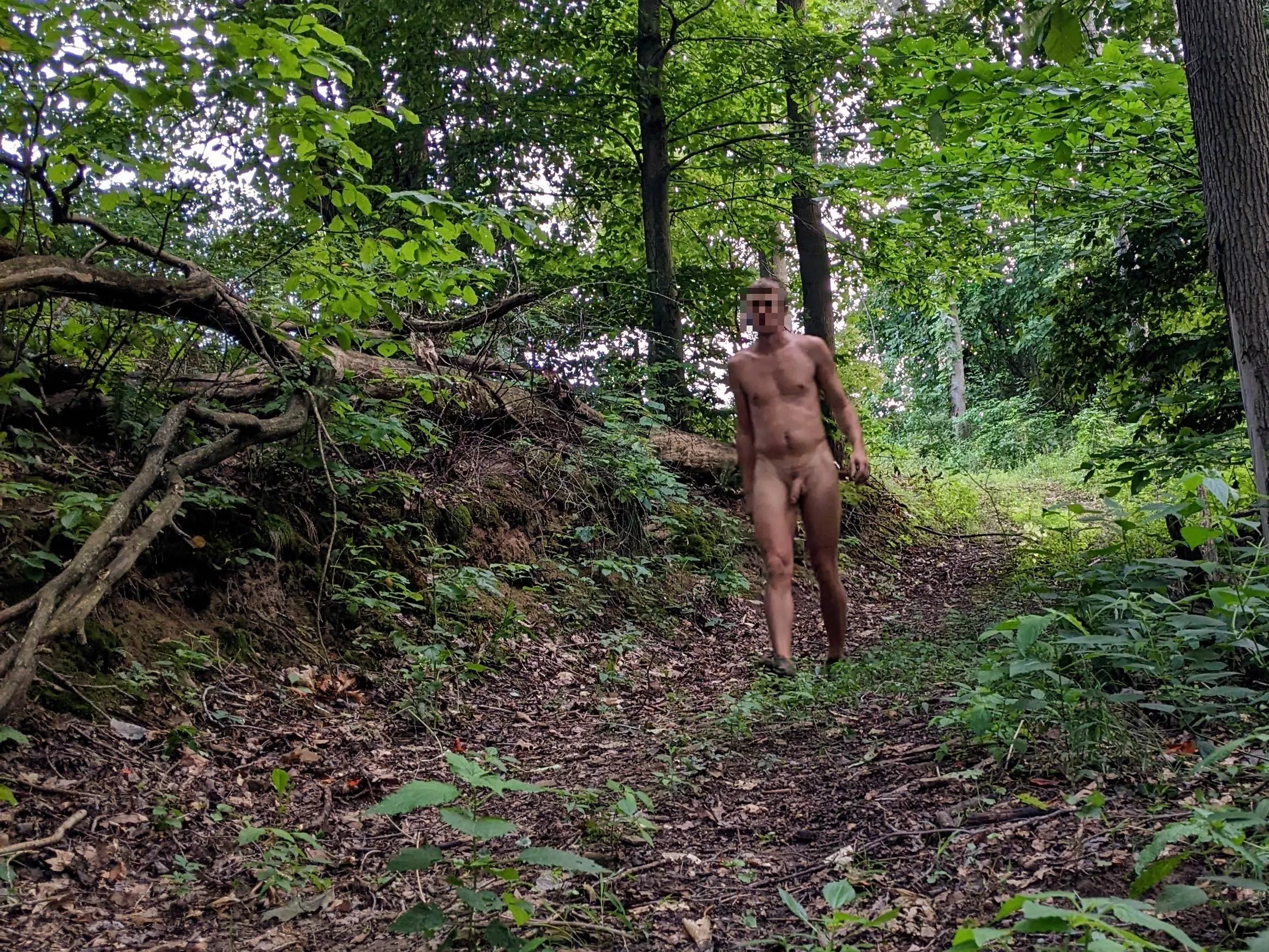 It was a beautiful evening to walk in the woods. Trying to make the most of even the small adventures!