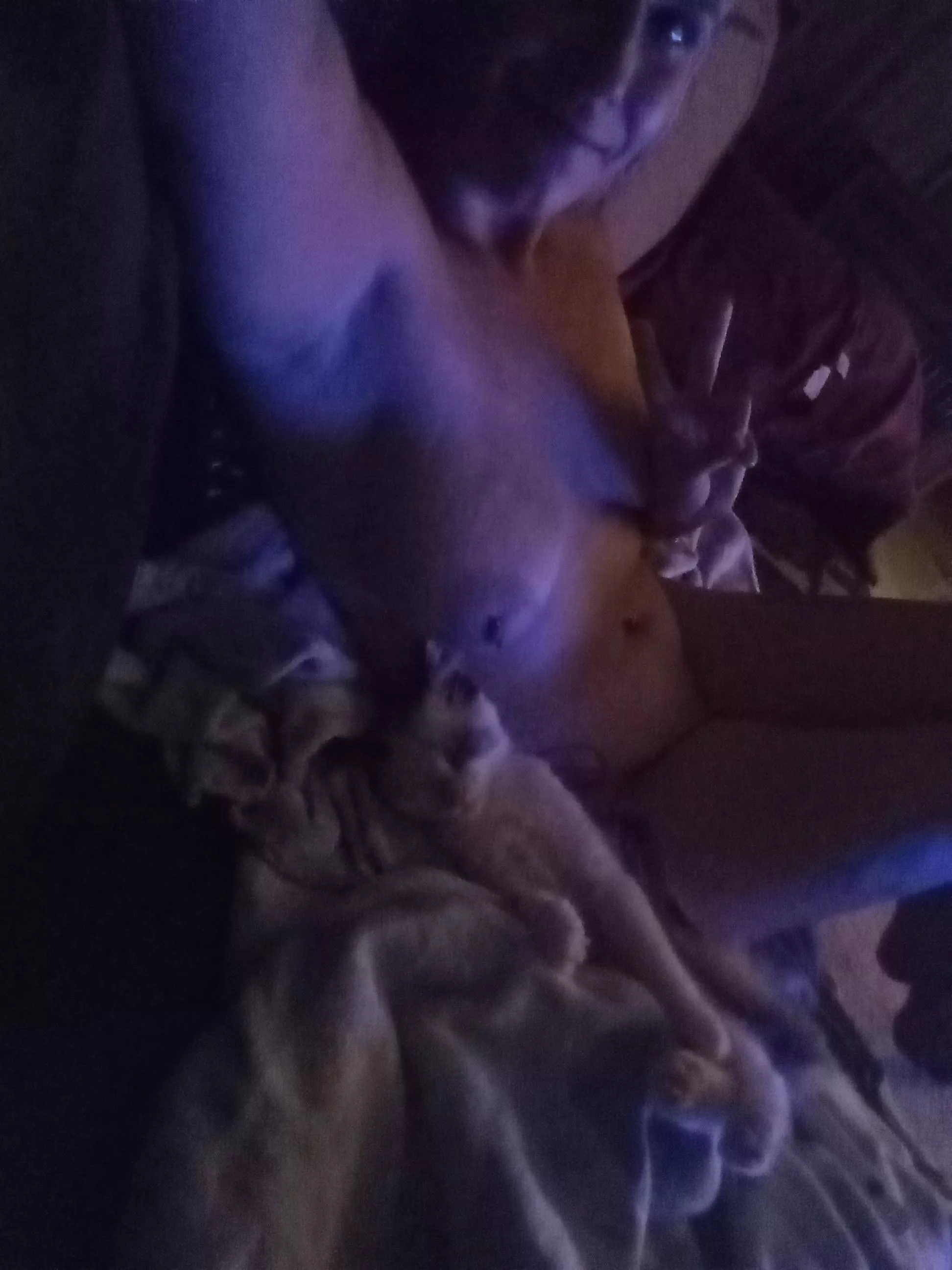 my phone camera sucks, but nudity doesn't! love being comfy and cuddling my kitties(: