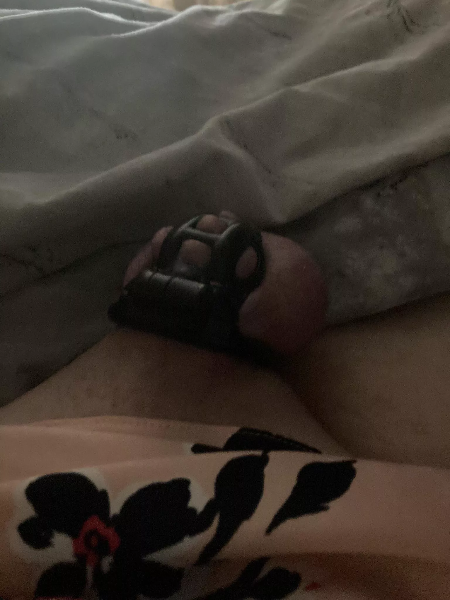 Not behaving herself this morning. One swollen sissy clitty
