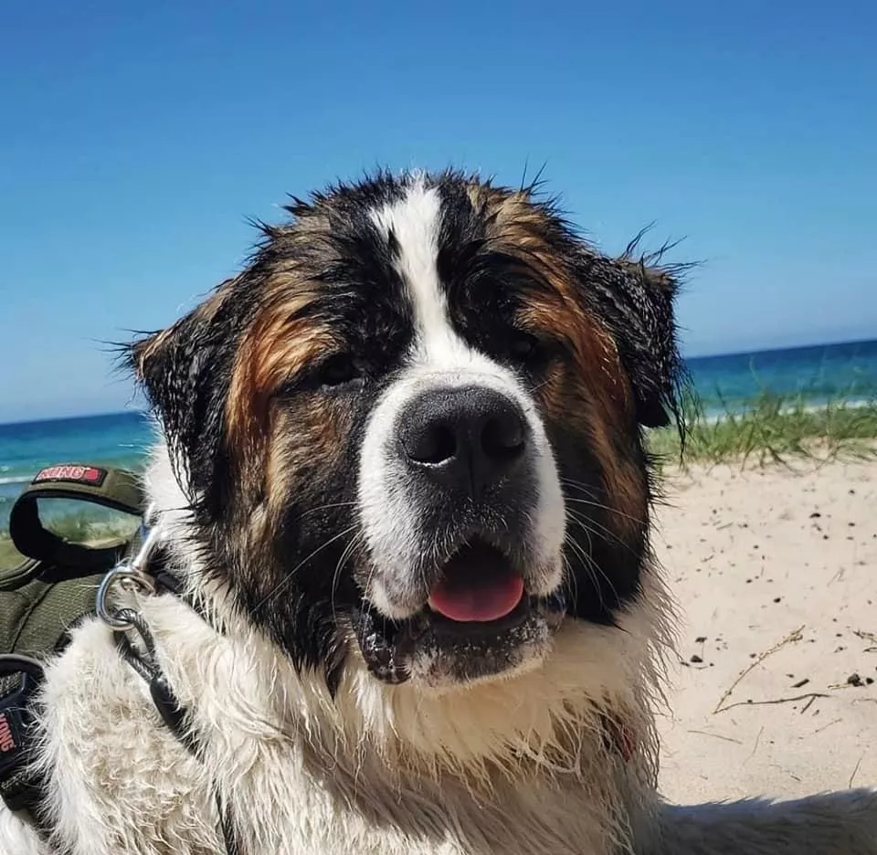 Give me your favorite songs to listen to at the beach! My playlist needs some freshening up 🏝