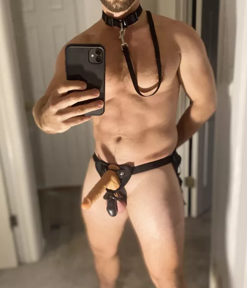 Still reeling over being told this is my new nightly uniform. She’s excited about being fucked relentlessly while I feel nothing but desperate desire.