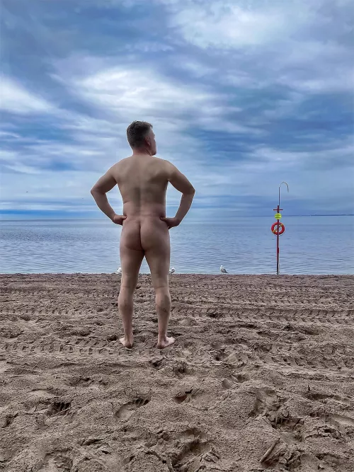 The seagulls were very judgey. 😀