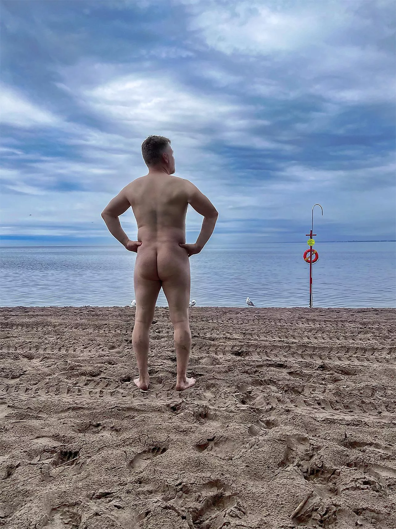 The seagulls were very judgey. 😀