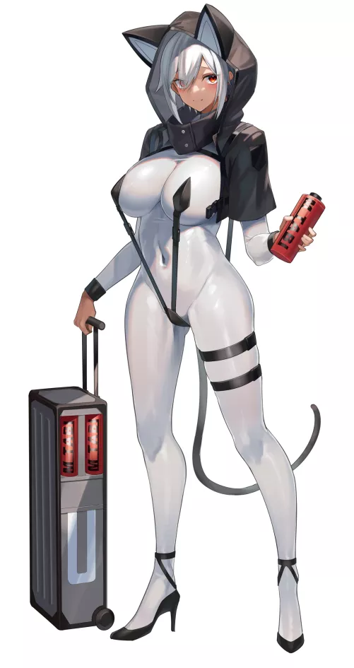 Perfect Suit Cat Hooded Traveler (Yamanokami Eaka) [Original]