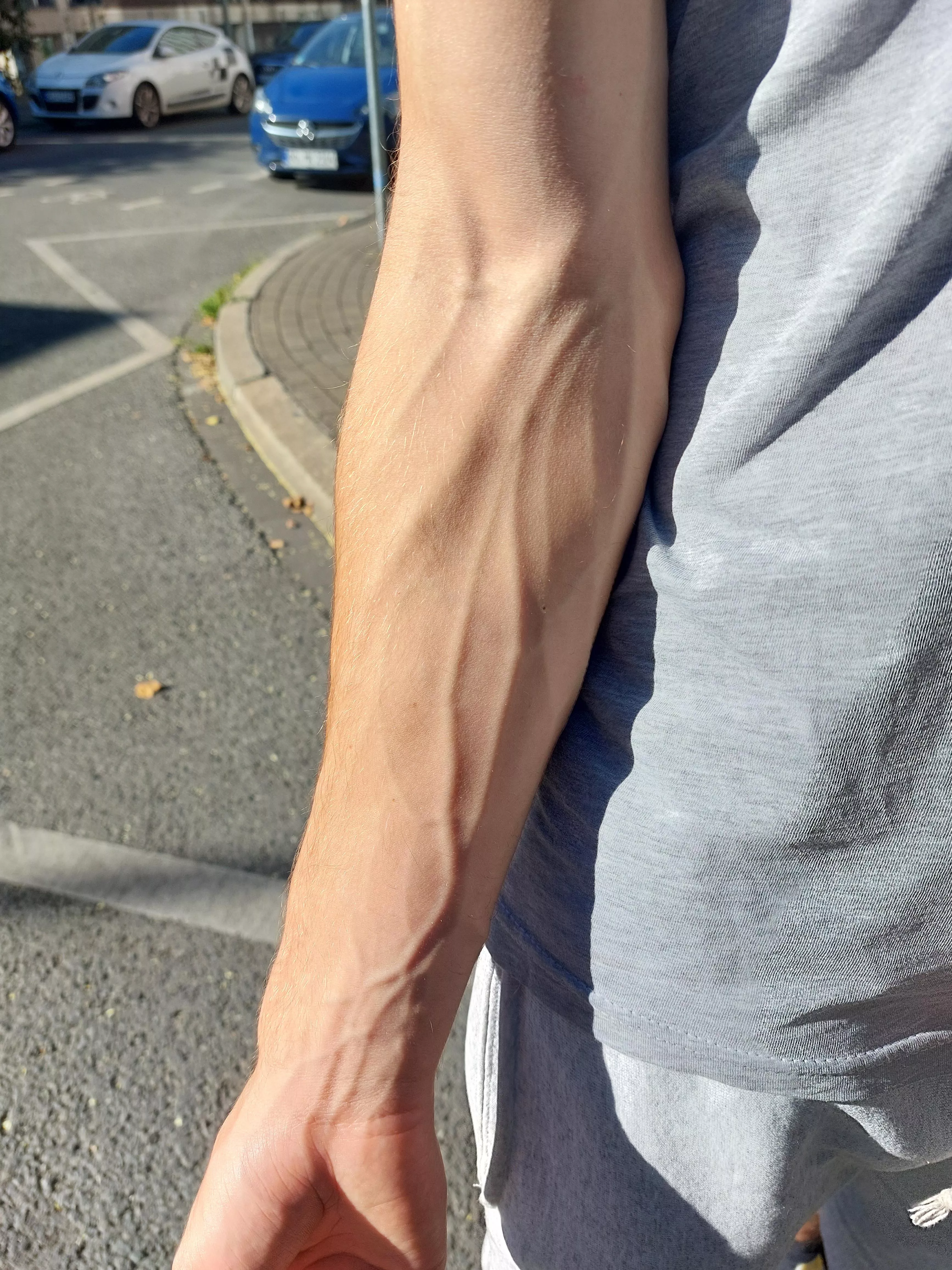 Do you like veins? if so, wanna know what else is veiny?