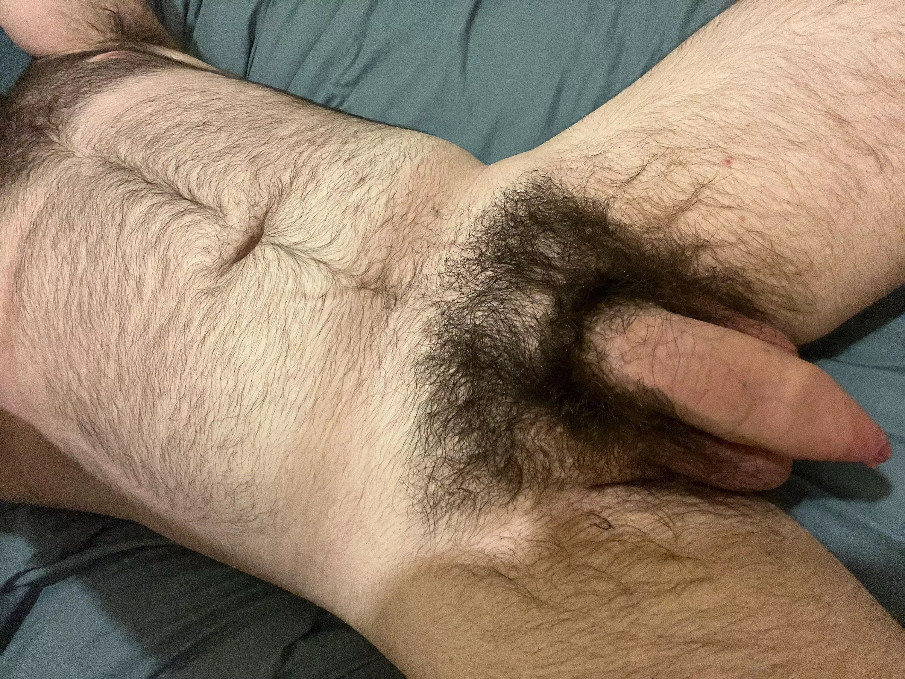 I’m so sweaty from this heat, wanna take a sniff of my hairy body? 😈