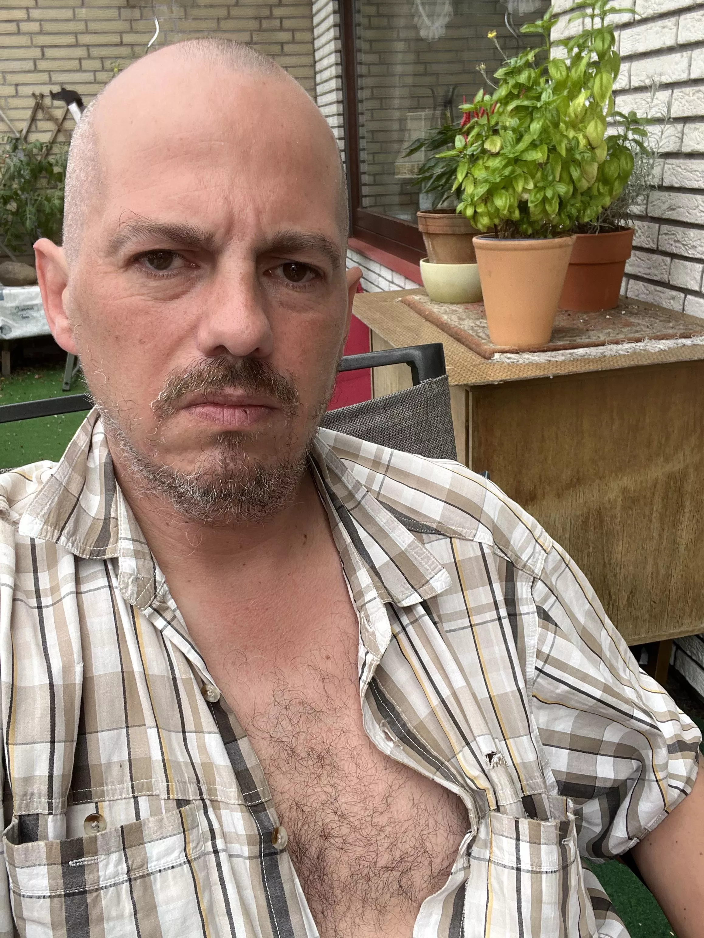 I decided on a whim to shave my head - I like the result.