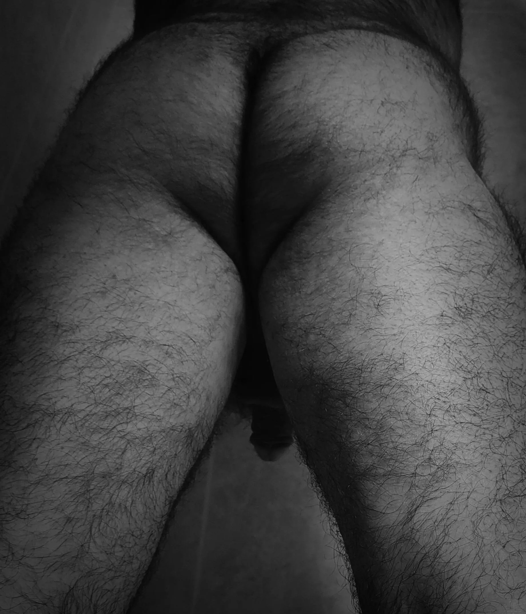 Happy humpday (thank fuck for filters)