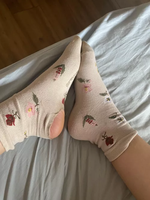 I’m new to this :). These are me favourite socks! I didn’t realise how worn they were until I looked today. I think I need to buy some new ones. Would anyone be interested in these? ❤️