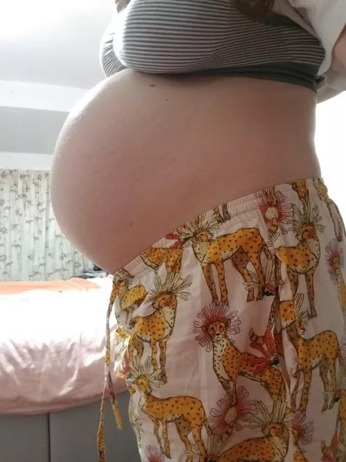 Overeating at 7 months pregnant - I feel huge 🐷