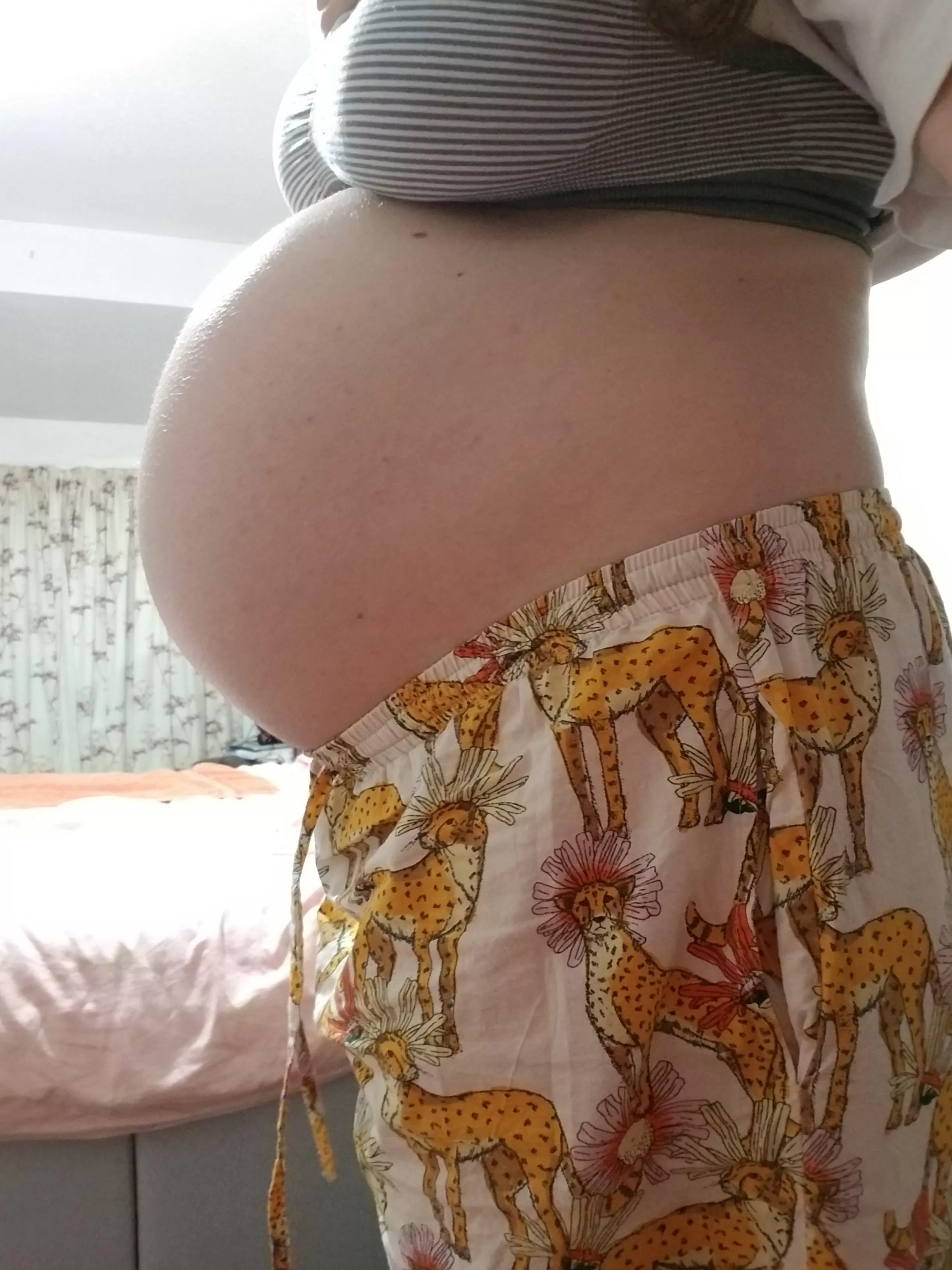 Overeating at 7 months pregnant - I feel huge 🐷