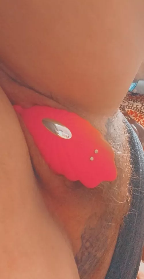 Just my cute toy on my hairy kitty