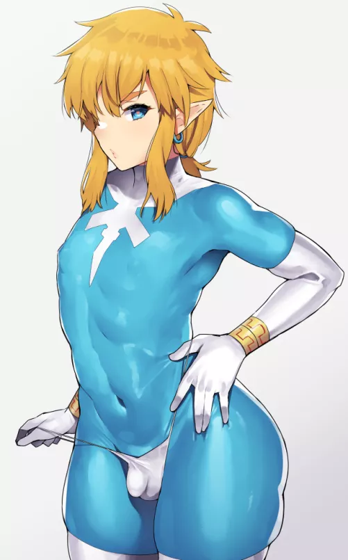 Link's Perfect Suit In A G-String (Nagase Haruhito) [The Legend Of Zelda]