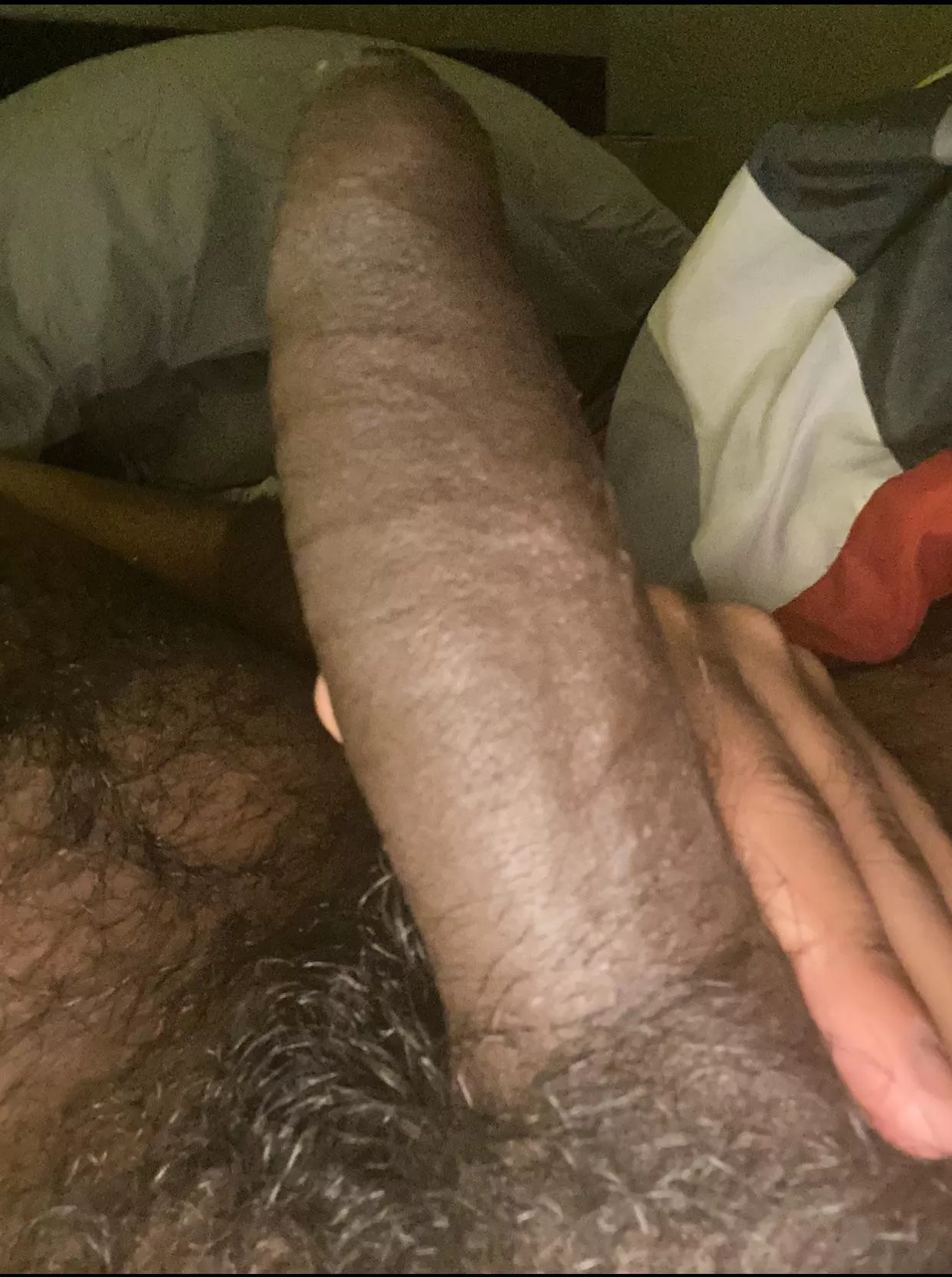 [M] 21, I’ve been so horny lately. At this rate we could probably go all night and it still wouldn’t be enough