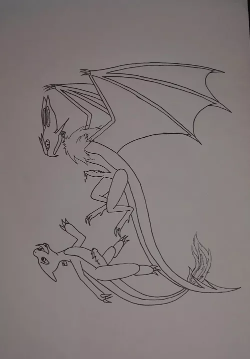 Noivern and Charmeleon [u/Freak-996]