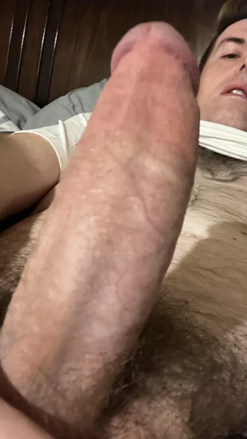 (29) bull for couple or to pop that pussy open …