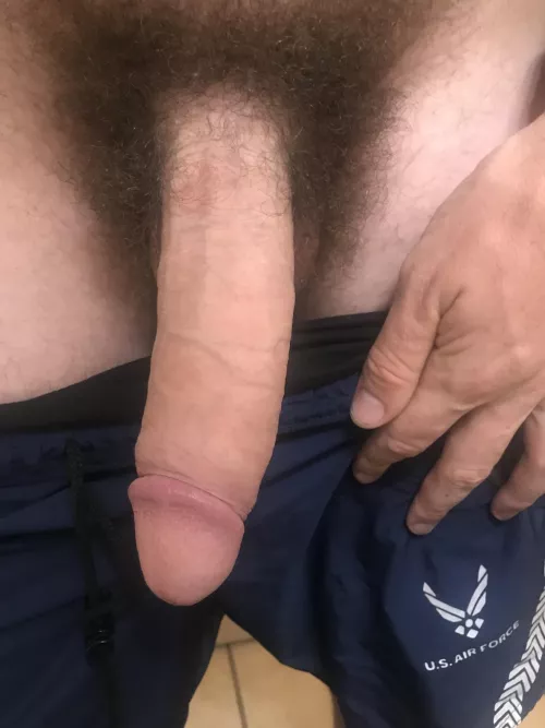 Air Force dick