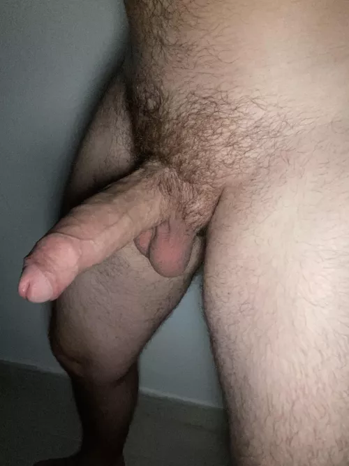 Are you into horny dads ?