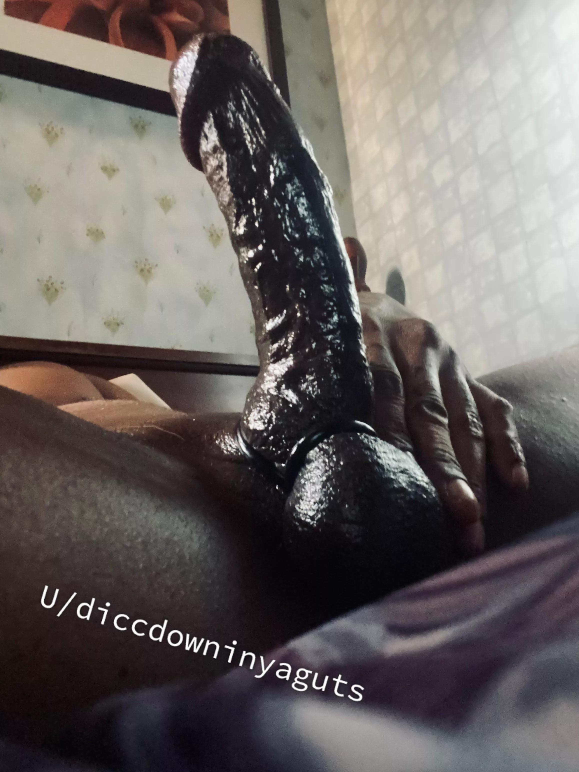 Gm from me and my cock ring who wants to help with this morning wood coconut oil bores me now.