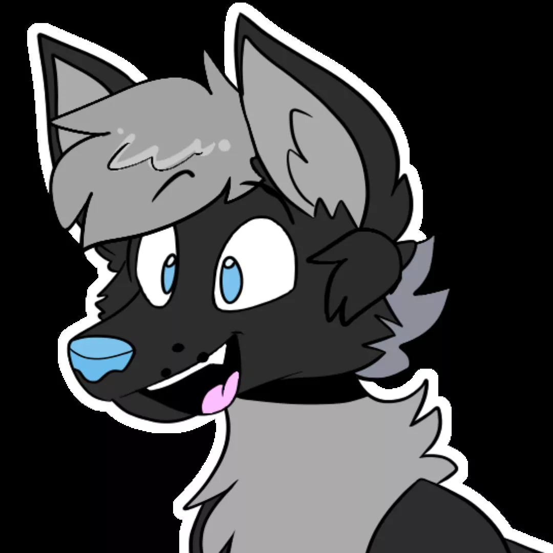 Hi Guys! I'm new here but have been in the fandom for almost a year. I hope I'm welcome here.