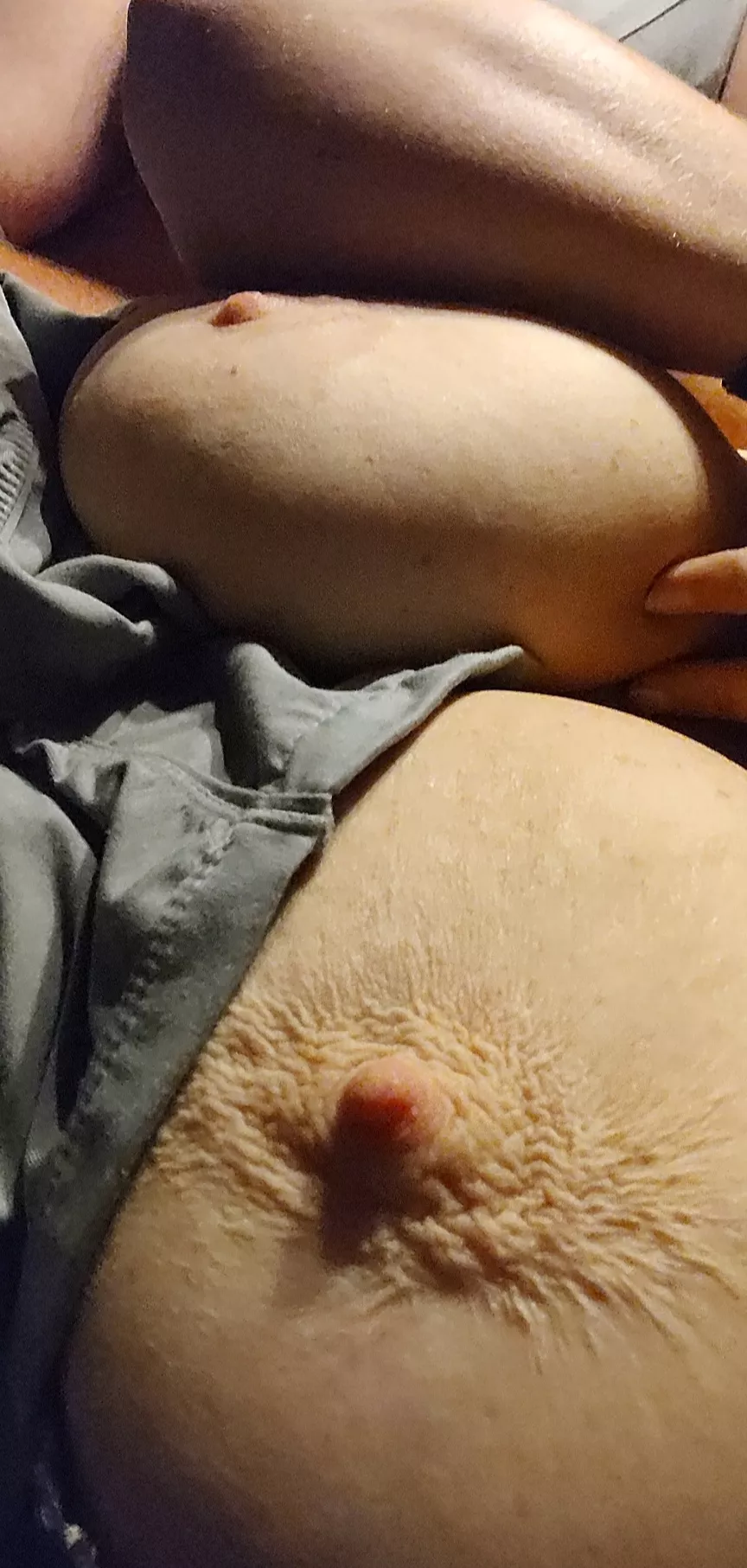 it was chilly in my room last night, they are so hard but still so little and pink!