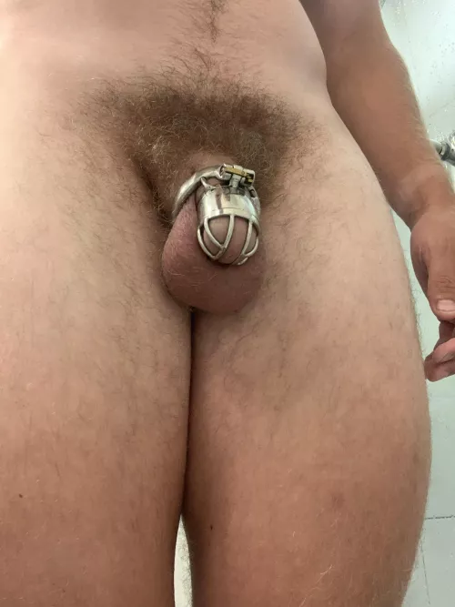 M21, caged for a full day now! How long should I go?