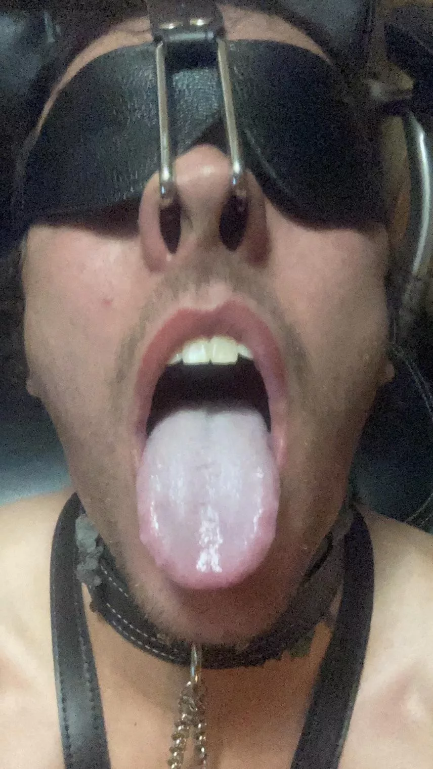 Scraps the Swine for you’re servicing