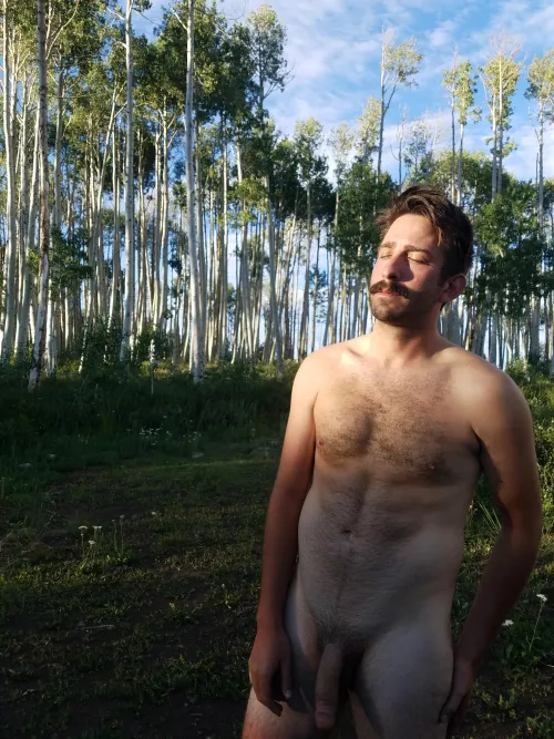 Thinking about springtime in the rockies