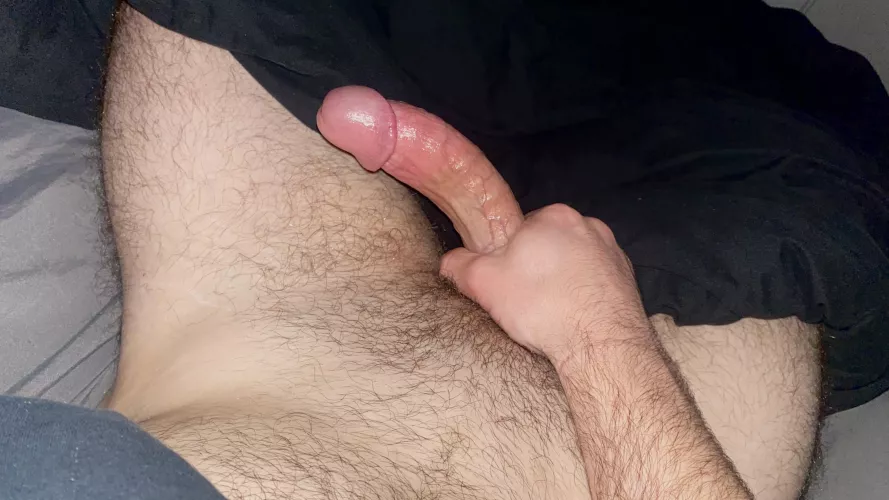 Where are all my fellow night owls 🦉