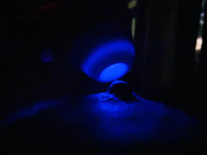 Stands in anticipation [f]