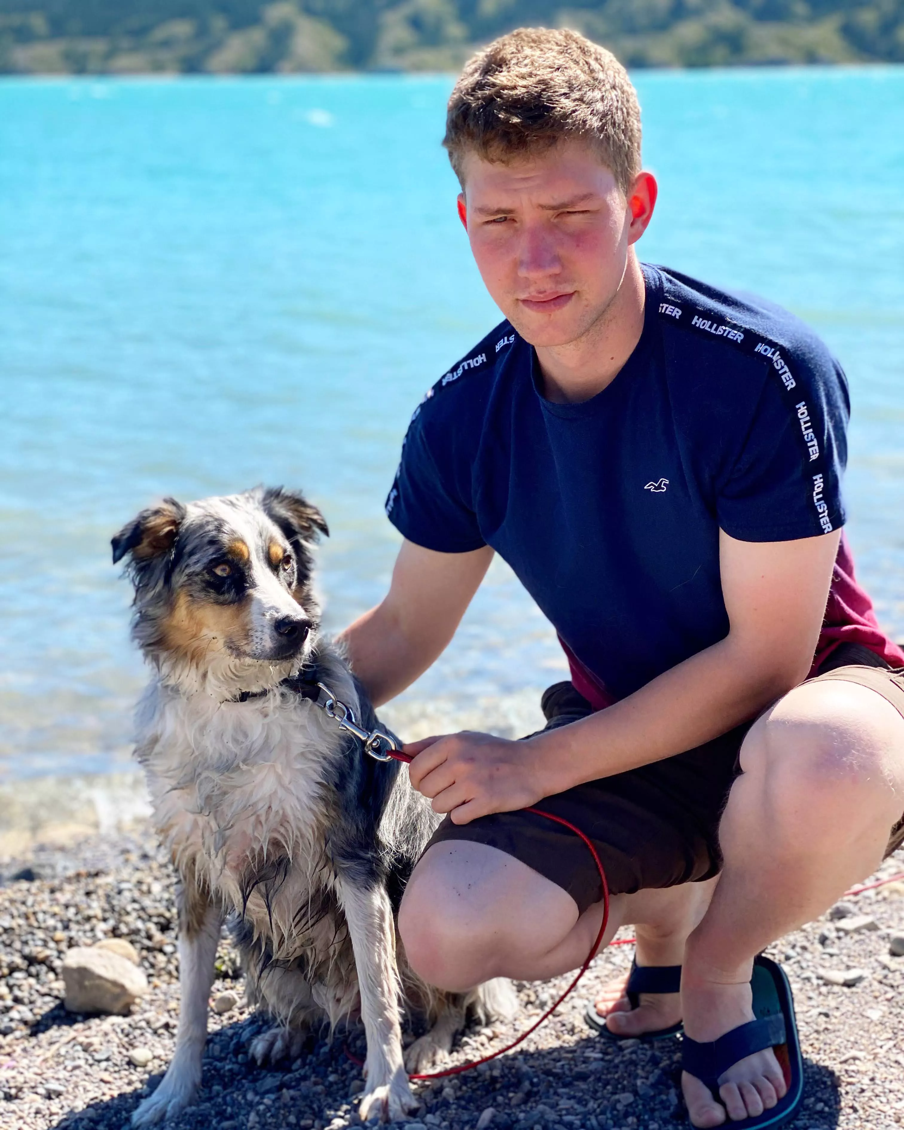 The dog is the cute one