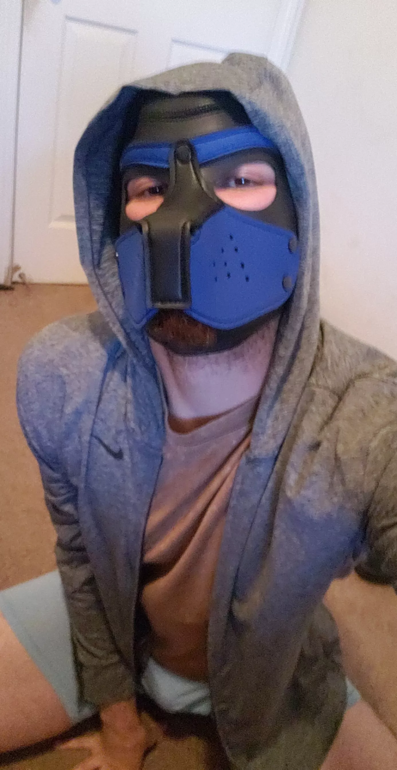 Trying my best as a little pup, can I serve you?