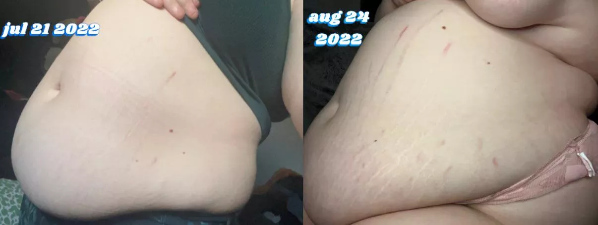 who knew i could do this much damage in just over a month? 🐷💖