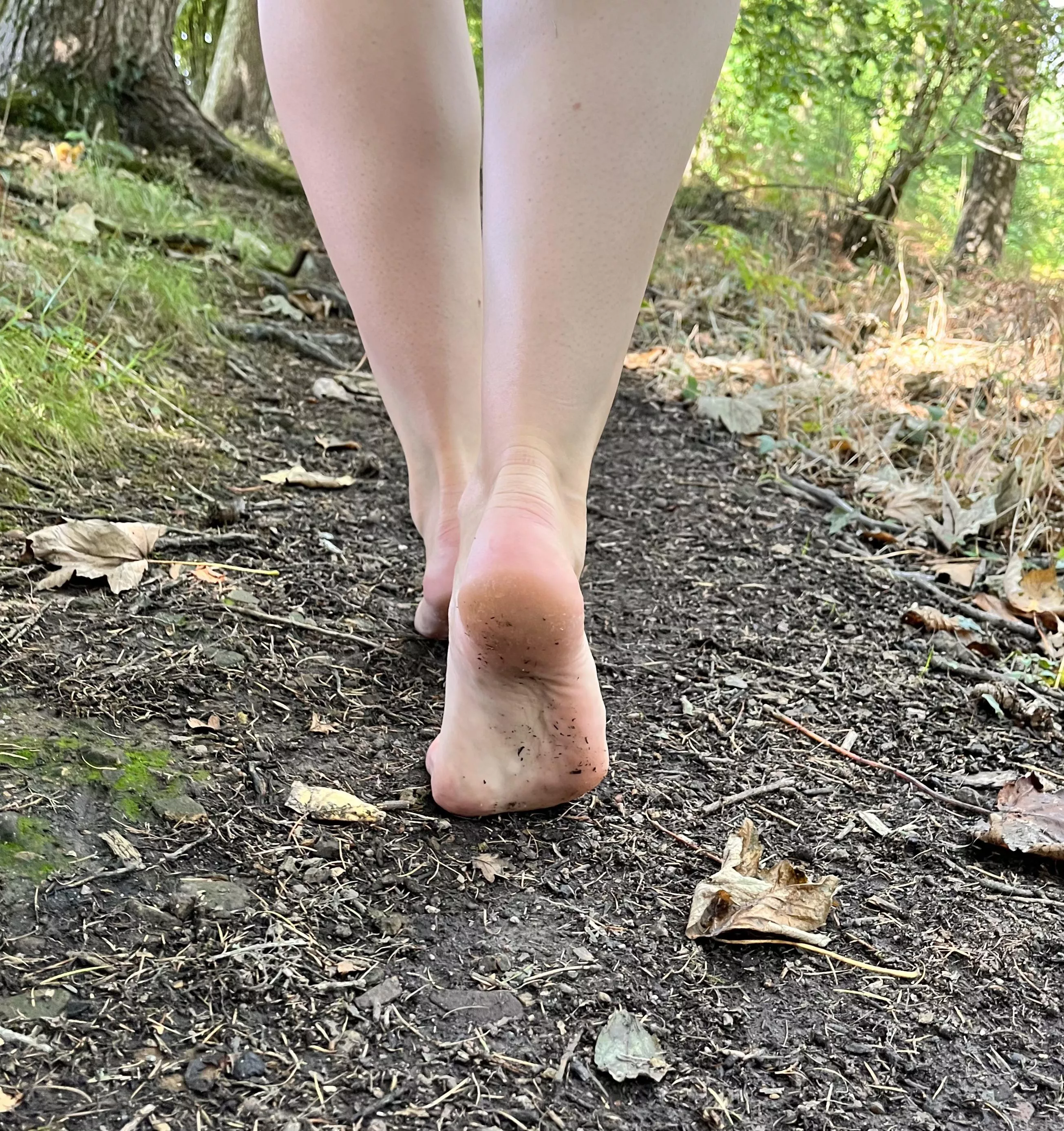 Anyone for a walk in the woods with me today?