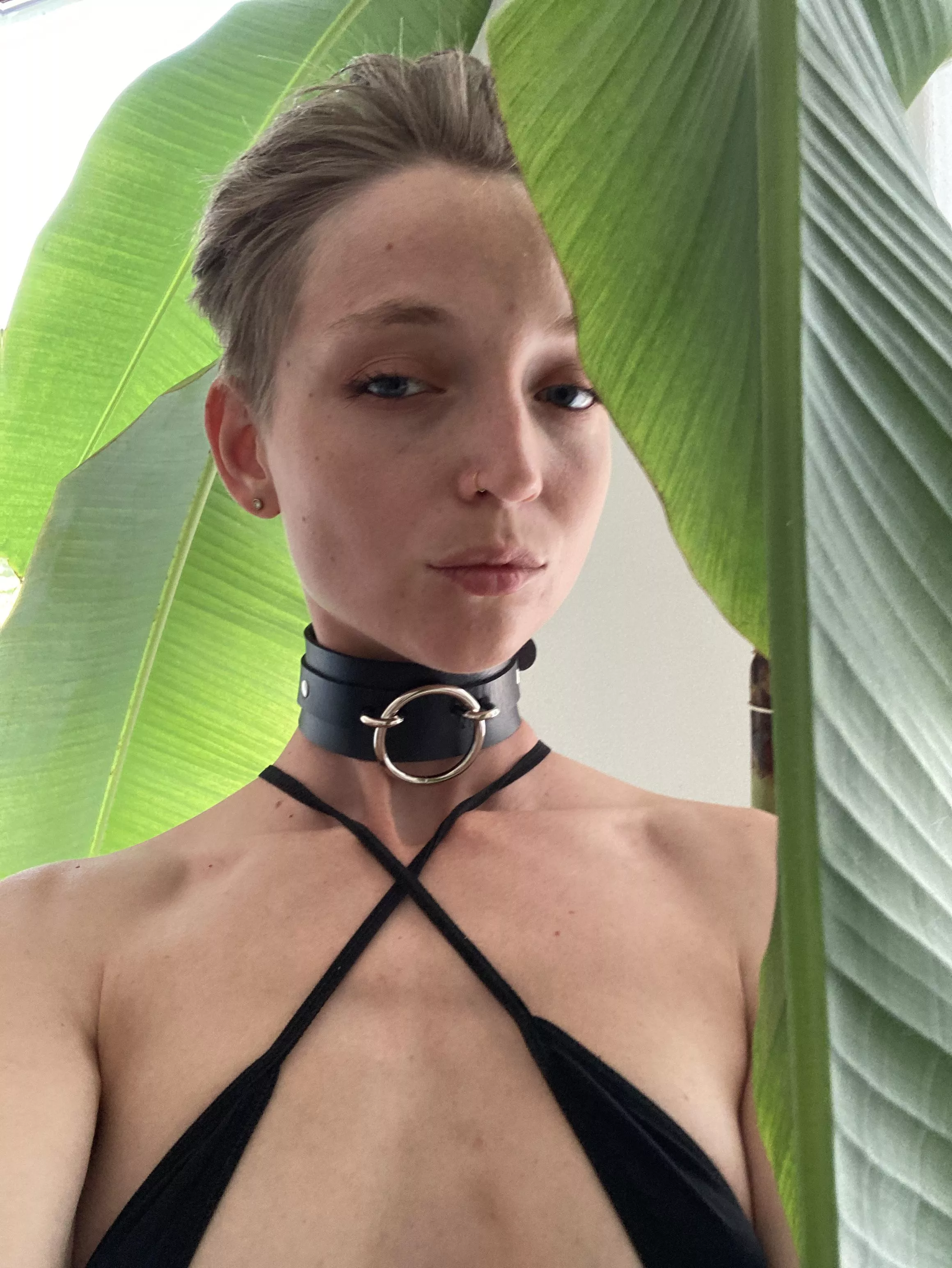 I want to play with my new colar 😎🔥