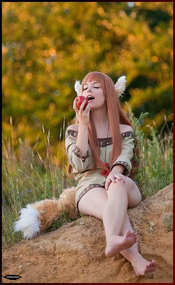 My self-made Holo/Horo Cosplay from Spice and Wolf Picture by Nuramoon