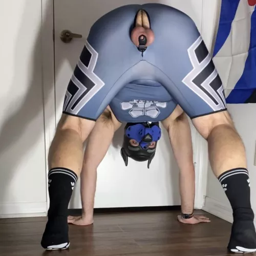 Oh no! I’m pup-side-down! 🐶🐾