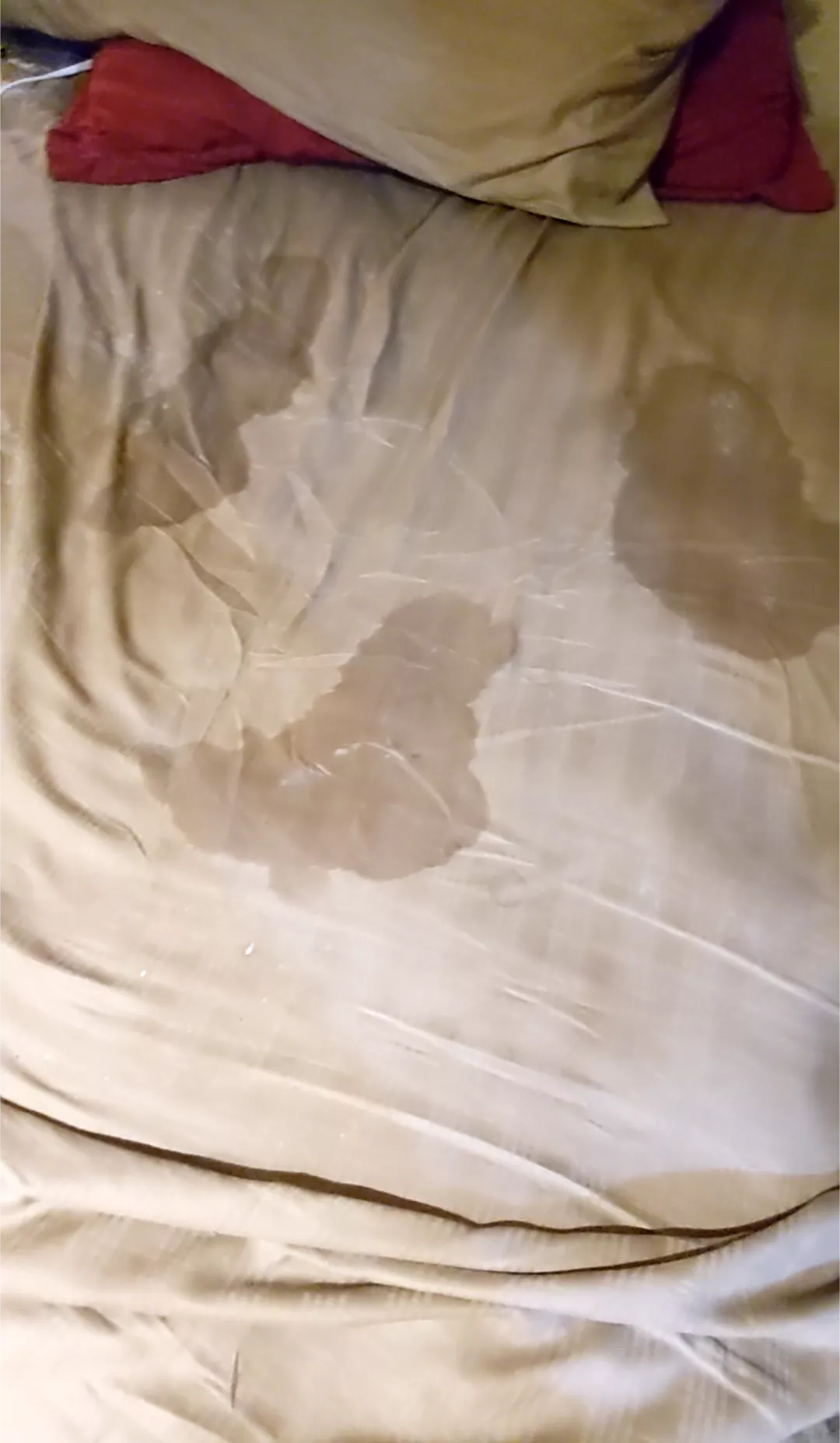 this is what happens when u put a finger in my ass while I'm riding u