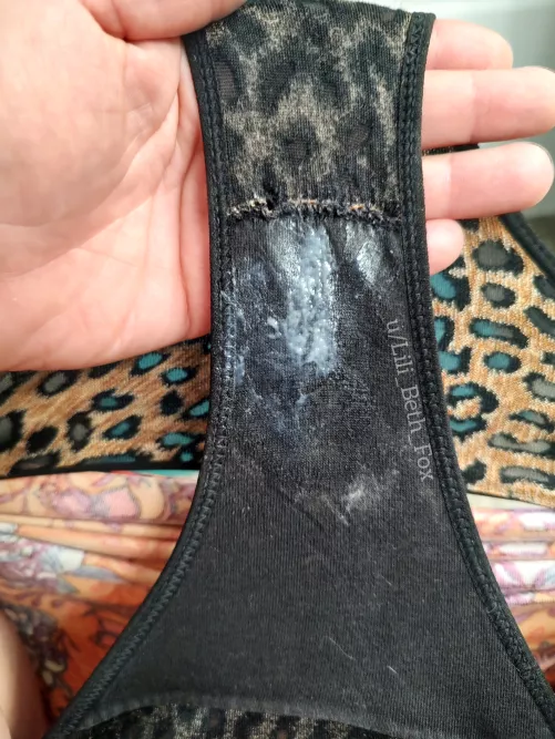 Went a bit wild in these [OC]