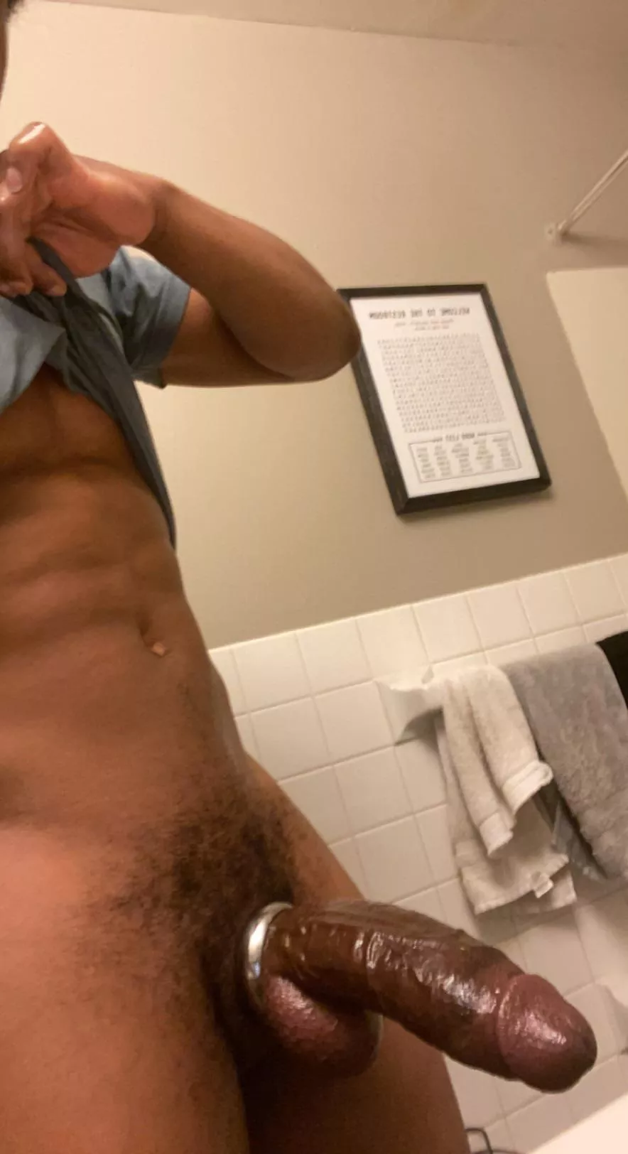 Who’s looking for a BULL 🐂