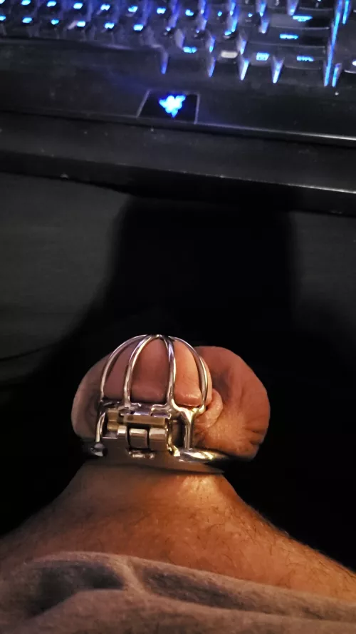 Day 14. Made it 2 weeks should I keep going or take a break till locktober?